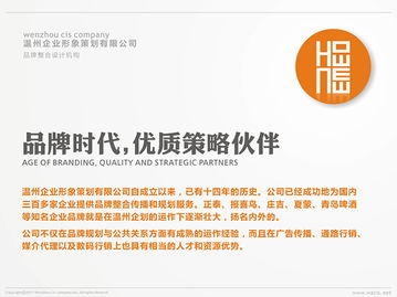 企业形象策划公司品牌整合设计机构官方PPT模板——企业形象策划的视觉化呈现与高效沟通工具